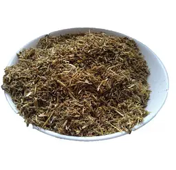 Золототисячник Трава Центурія Сардушник Erythraea centaurium - мініатюра 1