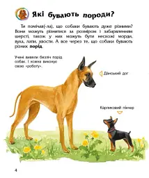 Енциклопедія дошкільника: Собаки - мініатюра 2