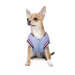 Бом бер Pet Fashion Spike для собак, розмір XS2, блакитний - мініатюра 3