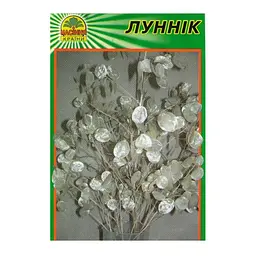 Насіння Лунник (лунарія) 10 шт. (Насіння країни)