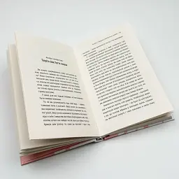 Дівчина-вогонь — Елвілл Лейба Кара | Книголав, книга українською, нова, тверда - мініатюра 4