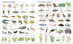 1000 назв природи - мініатюра 3