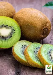 Саджанець Agro-Market Ківі темно-коричневий Містер Майк (Mr. Mike) (преміальний супер соковитий сорт, перехресне запилення, садити по 2 шт.) 1 шт. в упаковці (25537) - мініатюра 4