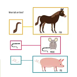 My First Book of Farm Animals. Montessori: A World of Achievements - мініатюра 8