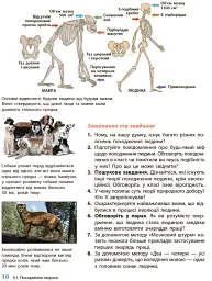 Історія України. Всесвітня історія. 6 клас. Підручник - мініатюра 9