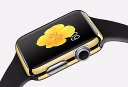 Захисний корпус Primo для Apple Watch 38 мм Series 2/3 Gold - мініатюра 4