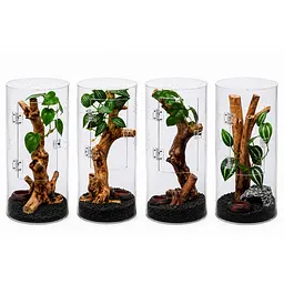 Тераріум для комах та павуків Hobby Terra Fix & Easy Insect Line 15x15x30 см акриловий 360° (36028) - мініатюра 4