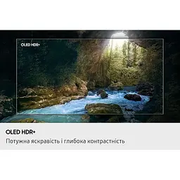 Телевізор Samsung QE65S90F - мініатюра 6