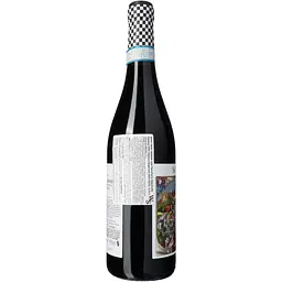 Вино SalvaTerra Valpolicella Ripasso DOC Classico Superiore 2023 червоне сухе 15% 0.75 л - мініатюра 3