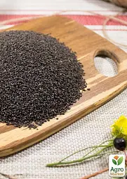 Насіння Agro-Market Базилік Суміш кращих популярних сортів на вагу ціна за 3 г (35762) - мініатюра 4
