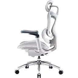 Крісло офісне Sihoo Doro C300 Pro Mesh White (DORO-C300-PRO-M102) - мініатюра 3