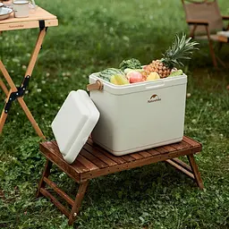 Туристичний холодильник Naturehike CNK2300BS011, 33 л, бежевий - мініатюра 3