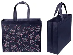Еко сумка ECOBAG бокс з друком Барбарис із замком 385х320х120мм 400мм