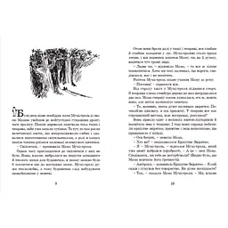 Книга Країна Мумі-тролів. Книга 1 - Туве Янссон Видавництво Старого Лева (9786176796466) - мініатюра 9