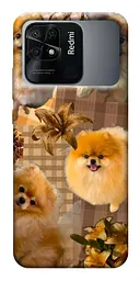 TPU чохол Demsky Spitz aethtetic для Xiaomi Redmi 10C