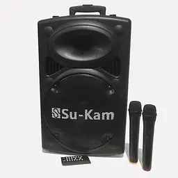 Колонка бездротова Сабвуфер Bluetooth FM Speaker Su-Kam BT-120D з 2 мікрофонами