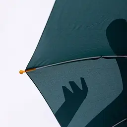 Дитяча парасоля-тростина механічна з 3D-хвостом складна 89 см, зелений Yiwu HP-23-12GR - мініатюра 9