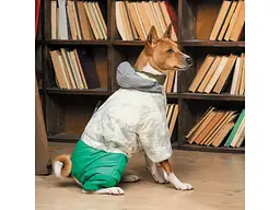 Костюм для тварин Pet Fashion Pf Style S (4823082427956) - мініатюра 6
