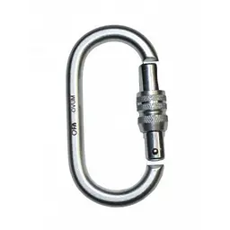 Карабін First Ascent Ovum Keylock (1060-FA 8007)