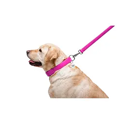 Повідець для собак WAUDOG Glamour шкіряний M-XXL рожевий (33767) - мініатюра 6