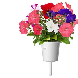 Змінний картридж Click & Grow Smart Garden Петунія, 3 капсули (74410) - мініатюра 3