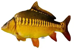 Іграшка м'яконабивна CARP-M «Короп Дзеркальний» розмір 50 см