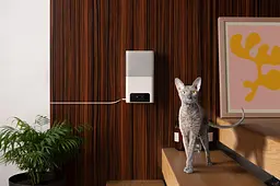Інтерактивна HD-камера Petcube Bites 2 Lite - мініатюра 5