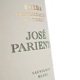 Вино Bodegas Jose Pariente Sauvignon Blanc DO Rueda біле сухе 0.75 л - мініатюра 3