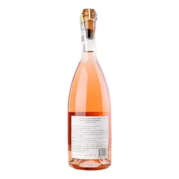 Вино ігристе Terre dei Buth Frizzante Rose рожеве брют 0.75 л  - мініатюра 2