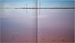 Ukraine from above - мініатюра 3
