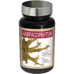 Комплекс Nutriexpert Гарпагофітум 60 капсул