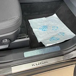 Накладки на пороги для Ford Kuga / Escape 2013-2019 Нержавіюча сталь із загином та Логотипом 4 шт (Premium P-FO41) - мініатюра 4