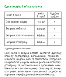 Детокс нирок 120 капсул Грін-Віза - мініатюра 3