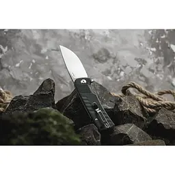 Ніж складаний Ganzo G769-GR - мініатюра 10