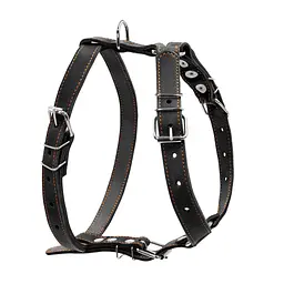 Шлея для собак Collar одинарна для середніх порід Ш 25 мм А:49-68 см В:68-80 см чорна (06381)