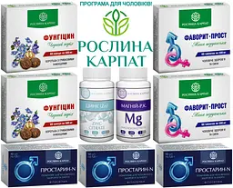 Програма для чоловічого здоров'я, Фаворит простий 2уп Цинк, Магній Р.К Фітосвічі Простарін N 3уп Фунгіцин 2уп. - мініатюра 2