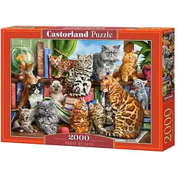 Пазл Castorland Кішки 2000 ел. (C-200726)