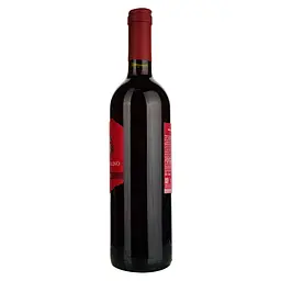 Вино Sartori Villa Molino Rosso VdT, червоне, сухе, 11%, 0,75 л - мініатюра 3