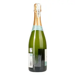 Вино ігристе Flama d'Or Cava Brut Organic біле 11.5% 0.75 л - мініатюра 2