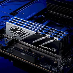 Модуль памяти DDR5 Apacer Panther 2x16GB 6000MHz [AH5U32G60C6227BAA-2] [148610] - мініатюра 4