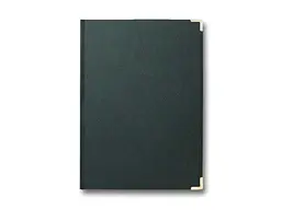 Папка BRISK-OFFICE вітальна А4 Infolk зелений 230х320 ППВ-5
