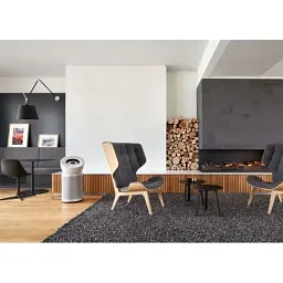 Очищувач повітря Dyson Purifier Big+Quiet BP02 White/Silver (304511-01) EU - мініатюра 3