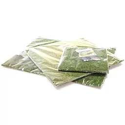 Фон з натурального моху Repti-Zoo Natural Moss Back & Bottom 45x45см 2 шт (NCM4545) для тераріуму - мініатюра 8