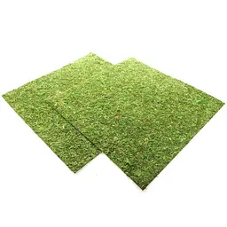 Фон з натурального моху Repti-Zoo Natural Moss Back & Bottom 45x45см 2 шт (NCM4545) для тераріуму - мініатюра 3