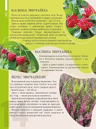 Перлини природи України - мініатюра 2
