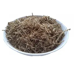 Пирій Корінь Перійка Elymus repens - мініатюра 1