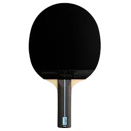 Ракетка для настільного тенісу Banda by Stiga Allround Future System ST (1650-0102-37) - мініатюра 3