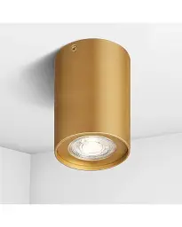 Точковий світильник накладний Imperium Light 48112.12.12 Tokyo GU10 1x50W IP20 Золотий - мініатюра 2
