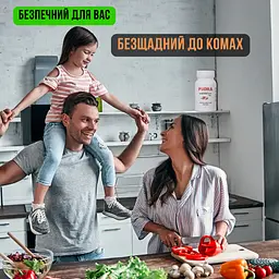 Pudra пудра від тарганів мурах бліх клопів чешуйниць повзаючих комах екологічна без хімії без запаху механічна дія - мініатюра 6