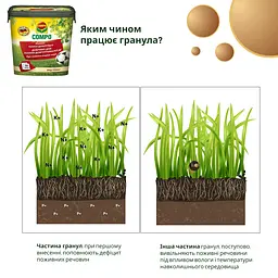 Тверде добриво тривалої дії для газонів COMPO 8 кг - мініатюра 6